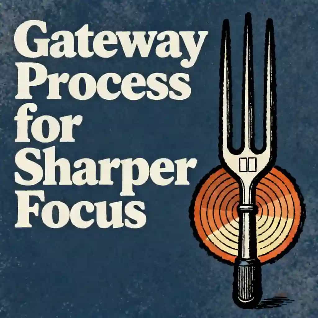 Couverture du livre The CIA Gateway Process for Better Focus