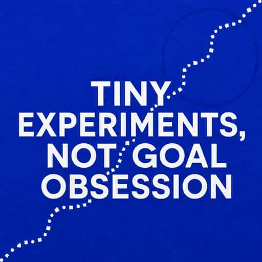 Tiny Experiments: Beyond Goal Obsession の書籍表紙