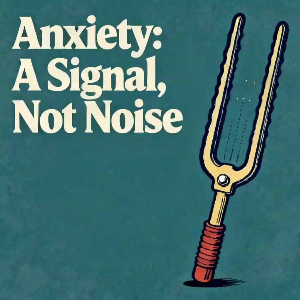 Buchcover von Anxiety as a Signal