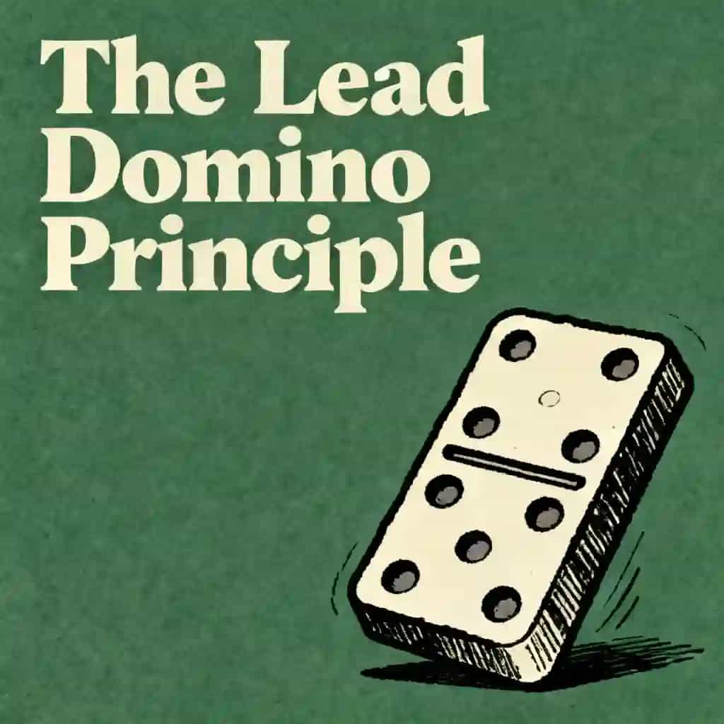 The Power of the Lead Domino の書籍表紙