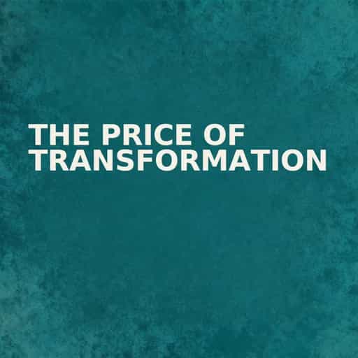 Buchcover von The Price of Transformation