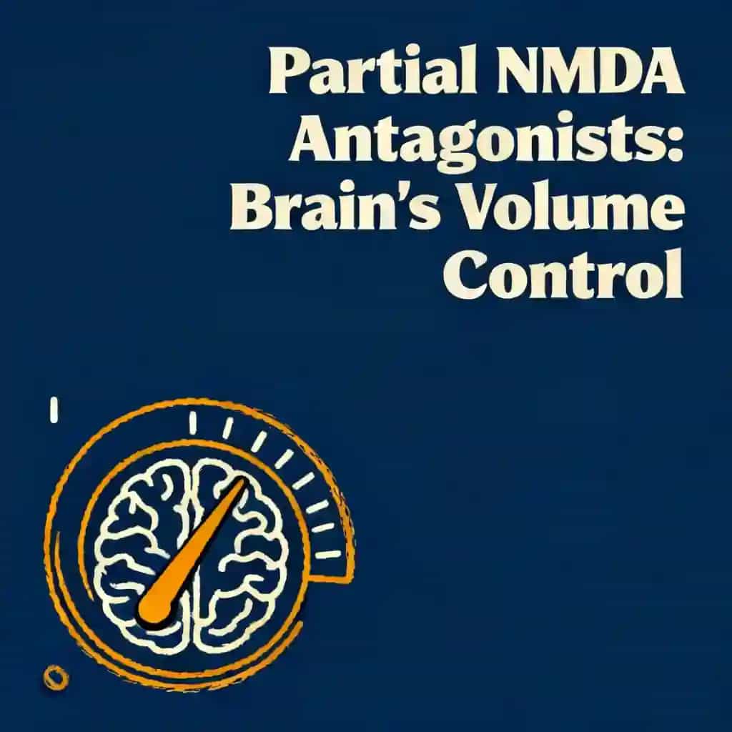 Buchcover von Partial NMDA Antagonists: Brain's Volume Control