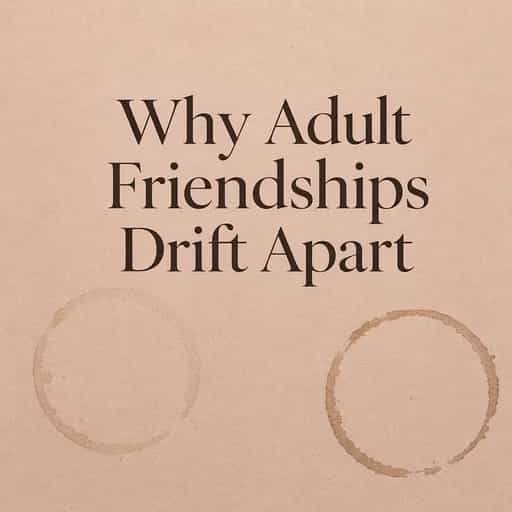 Why adult friendship quietly falls apart book cover