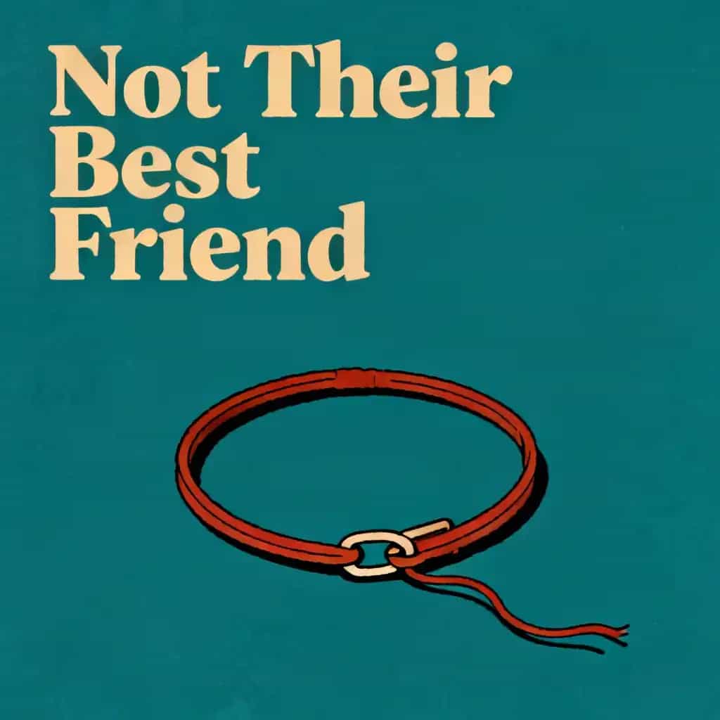 Обложка книги When You're Not Their Best Friend Too