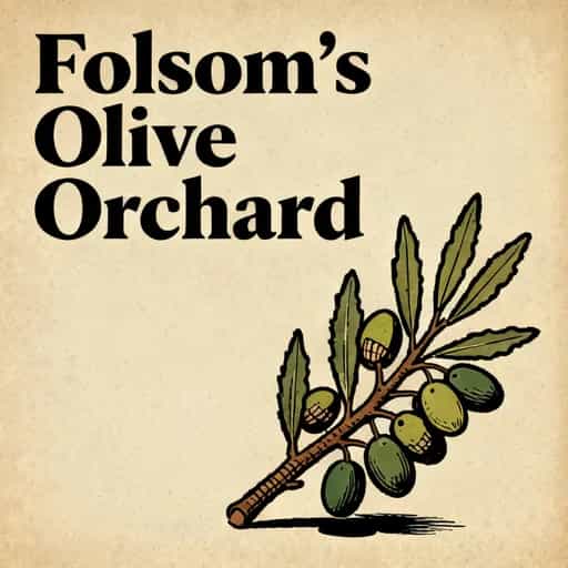 Copertina del libro The Olive Orchard of Folsom
