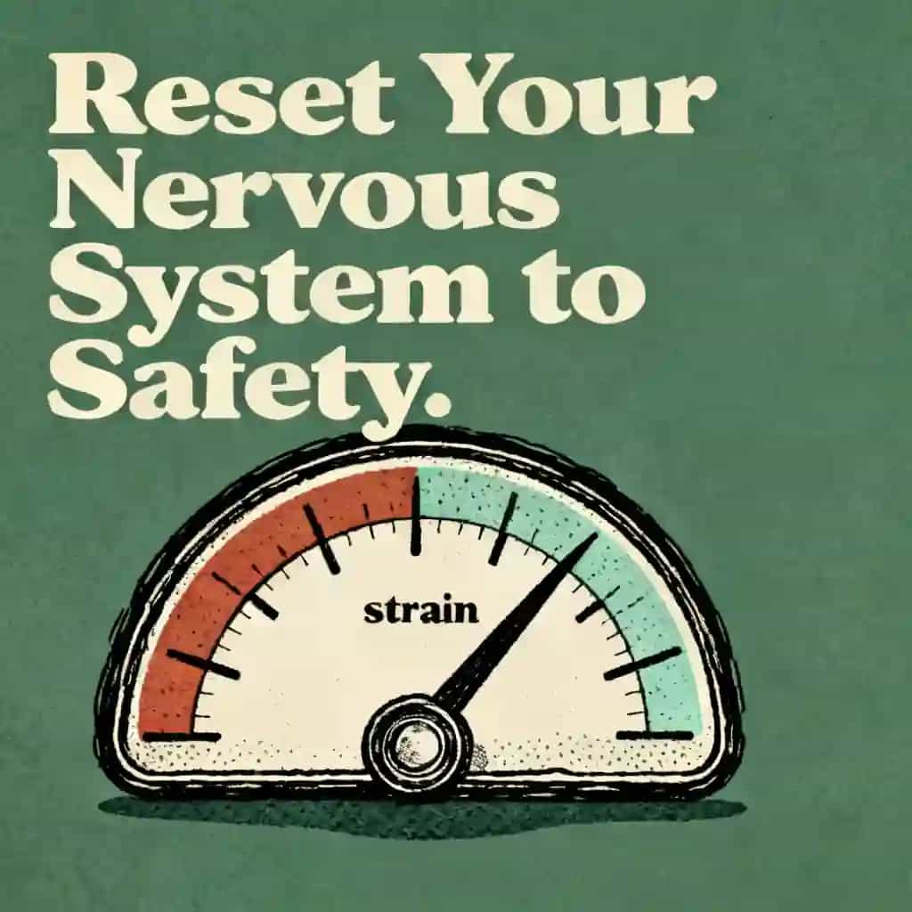Capa do livro Reset Your Nervous System: From Survival to Safety