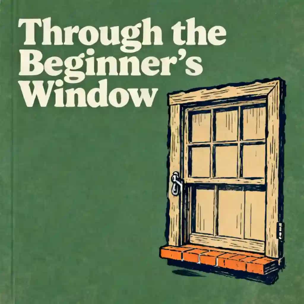 Buchcover von The Beginner’s Window