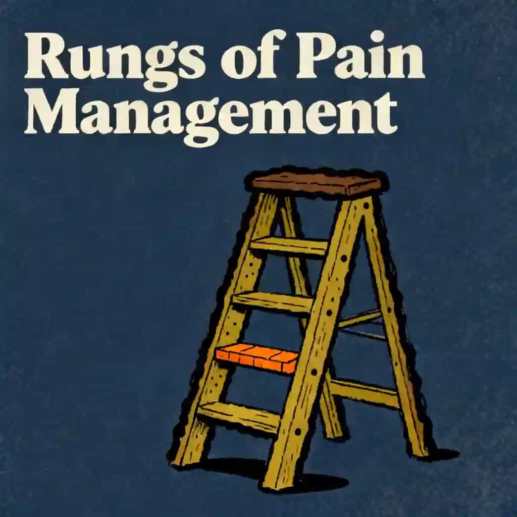 Buchcover von The Pain Management Ladder