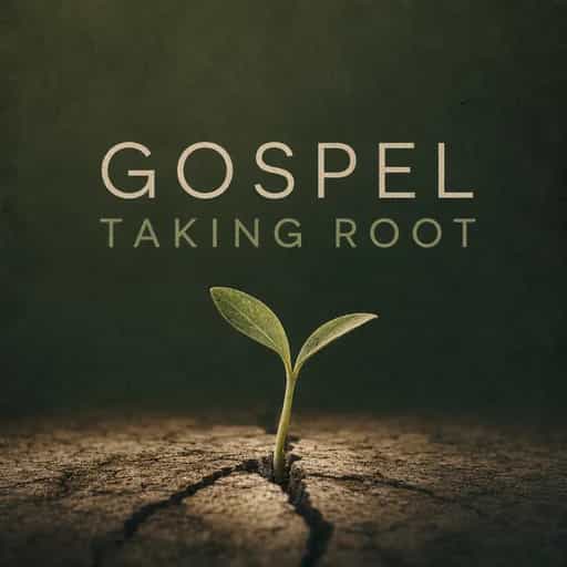 Buchcover von When the Gospel Takes Root
