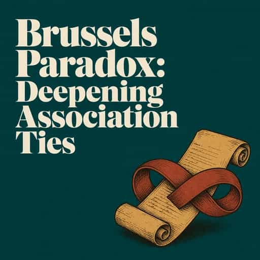 The Brussels Paradox: Deepening Association Ties 책 표지