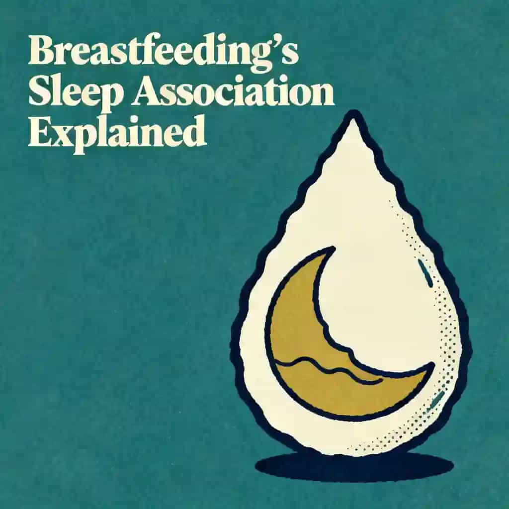 Copertina del libro Breastfeeding and the Sleep Association