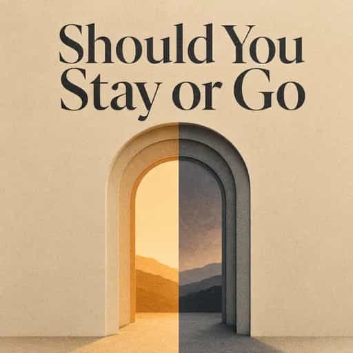 Обложка книги Deciding to Stay or Leave
