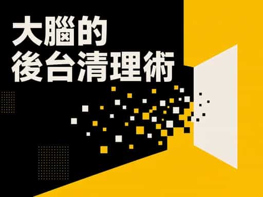 大腦的後台清理術