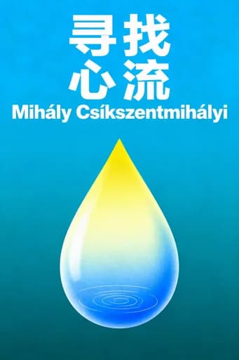 发现心流: The Psychology of Engagement With Everyday Life book cover