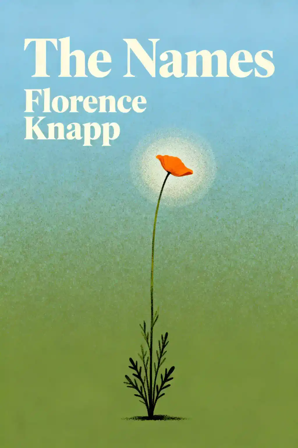 The Names book cover