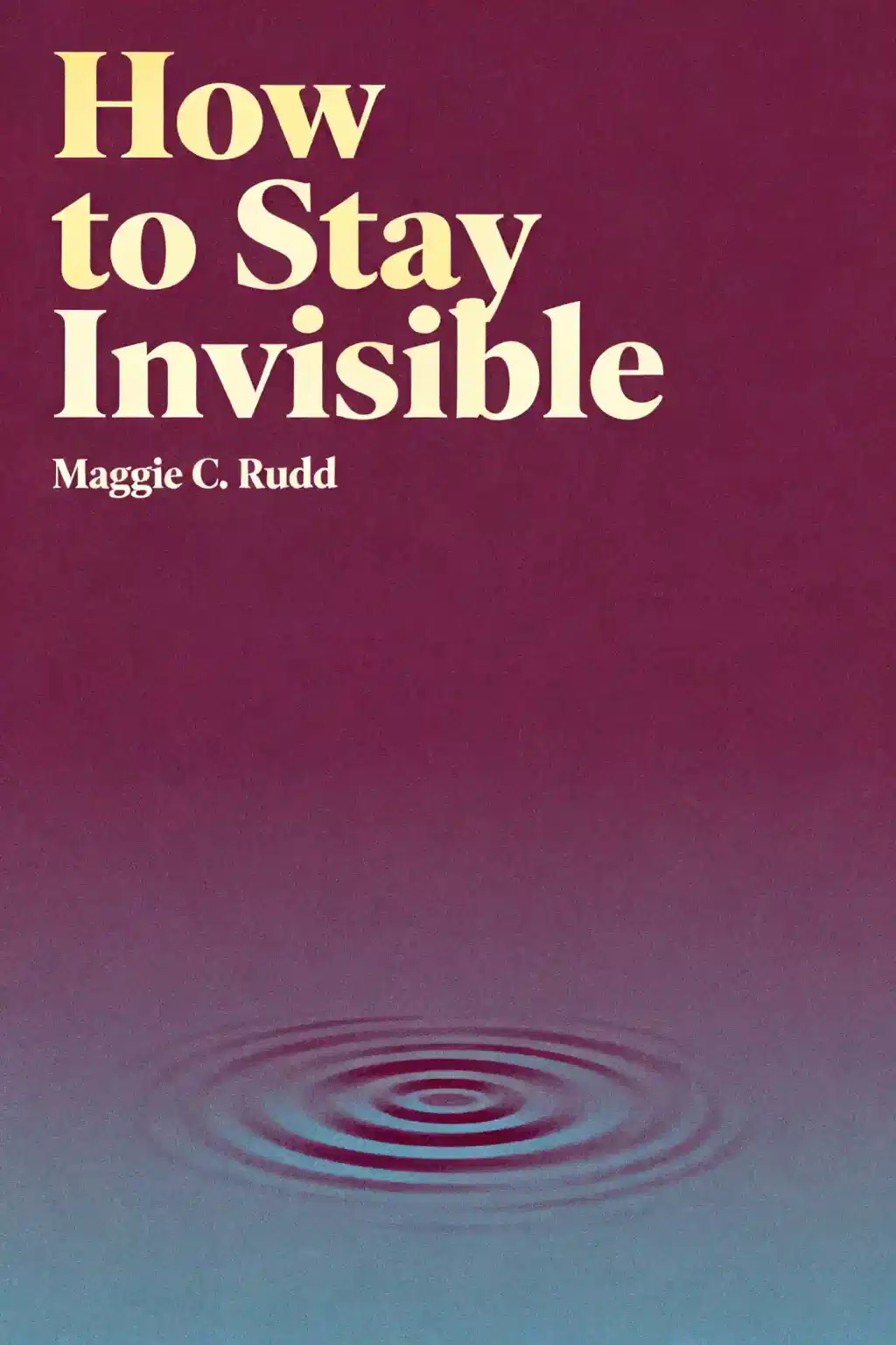 How to Stay Invisible book cover