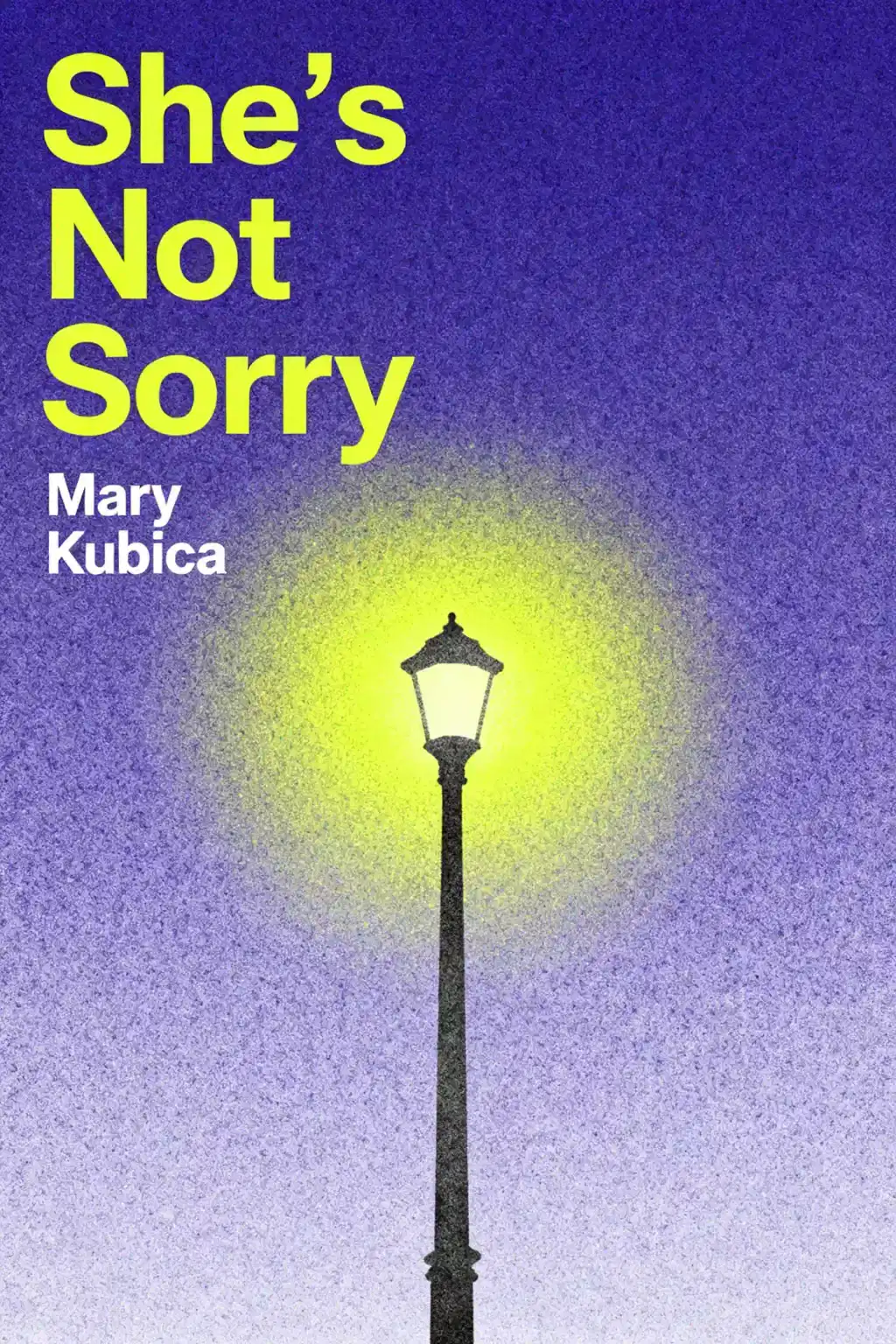 She's Not Sorry book cover