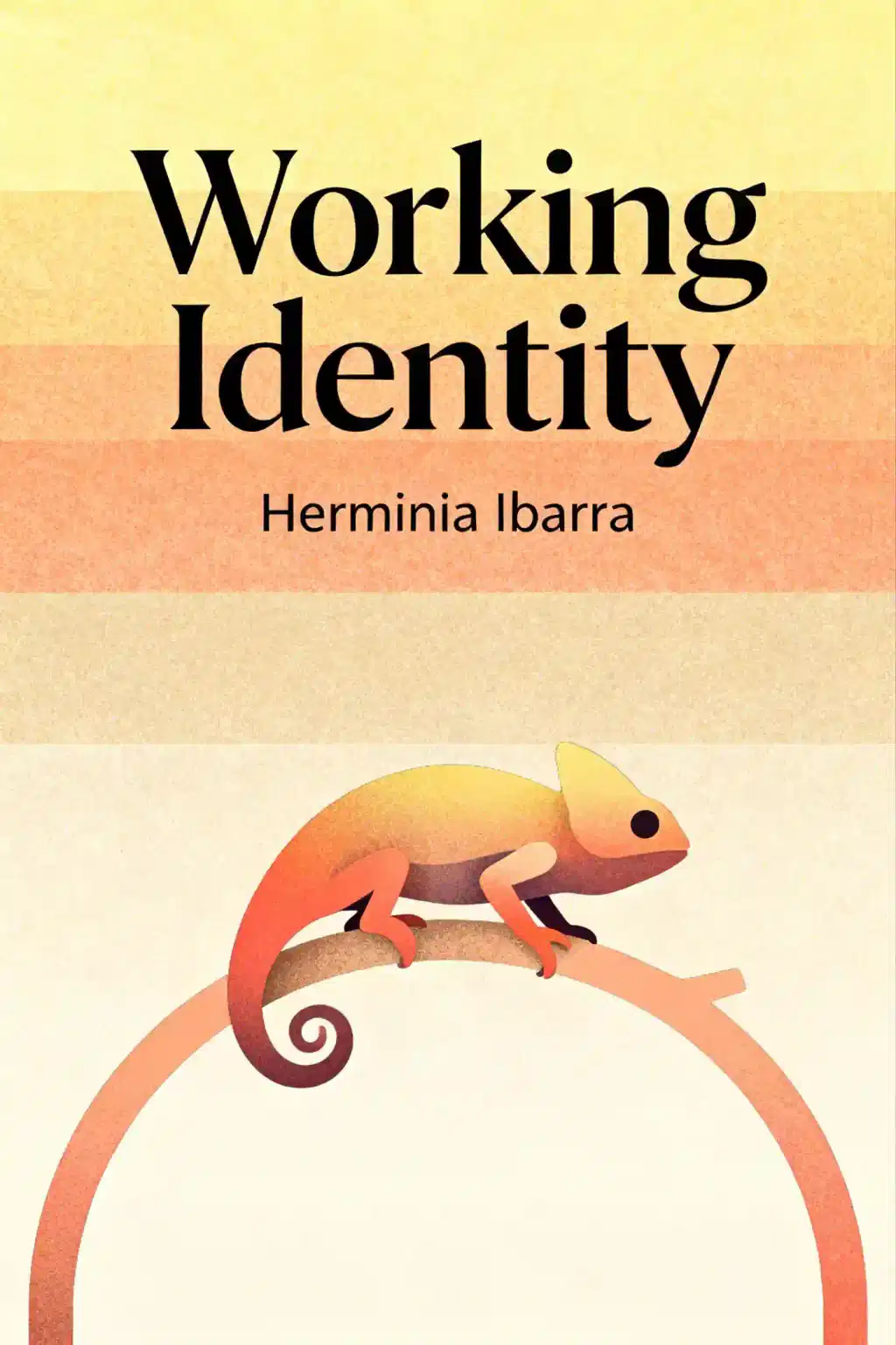 Working Identity book cover