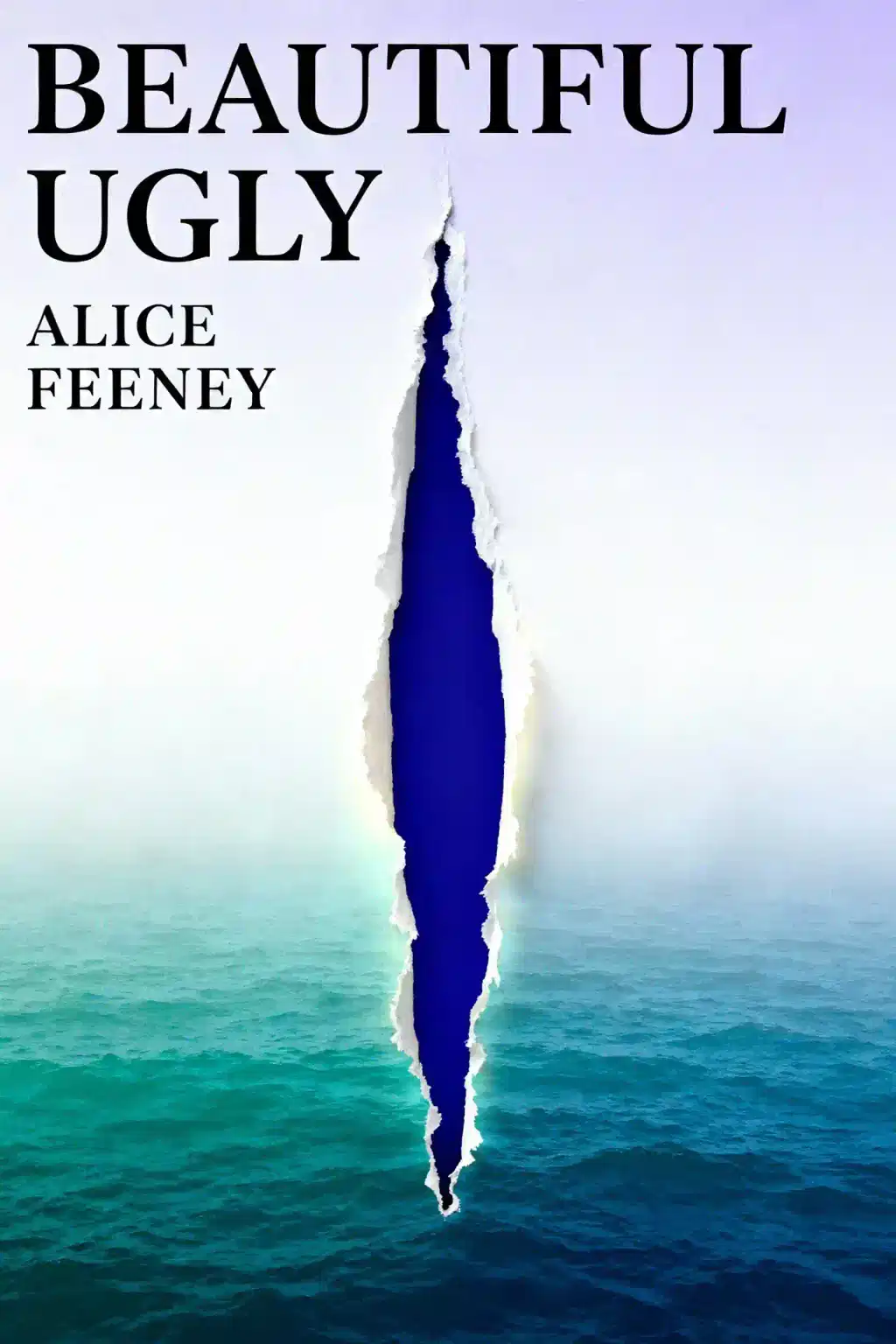 Beautiful Ugly book cover