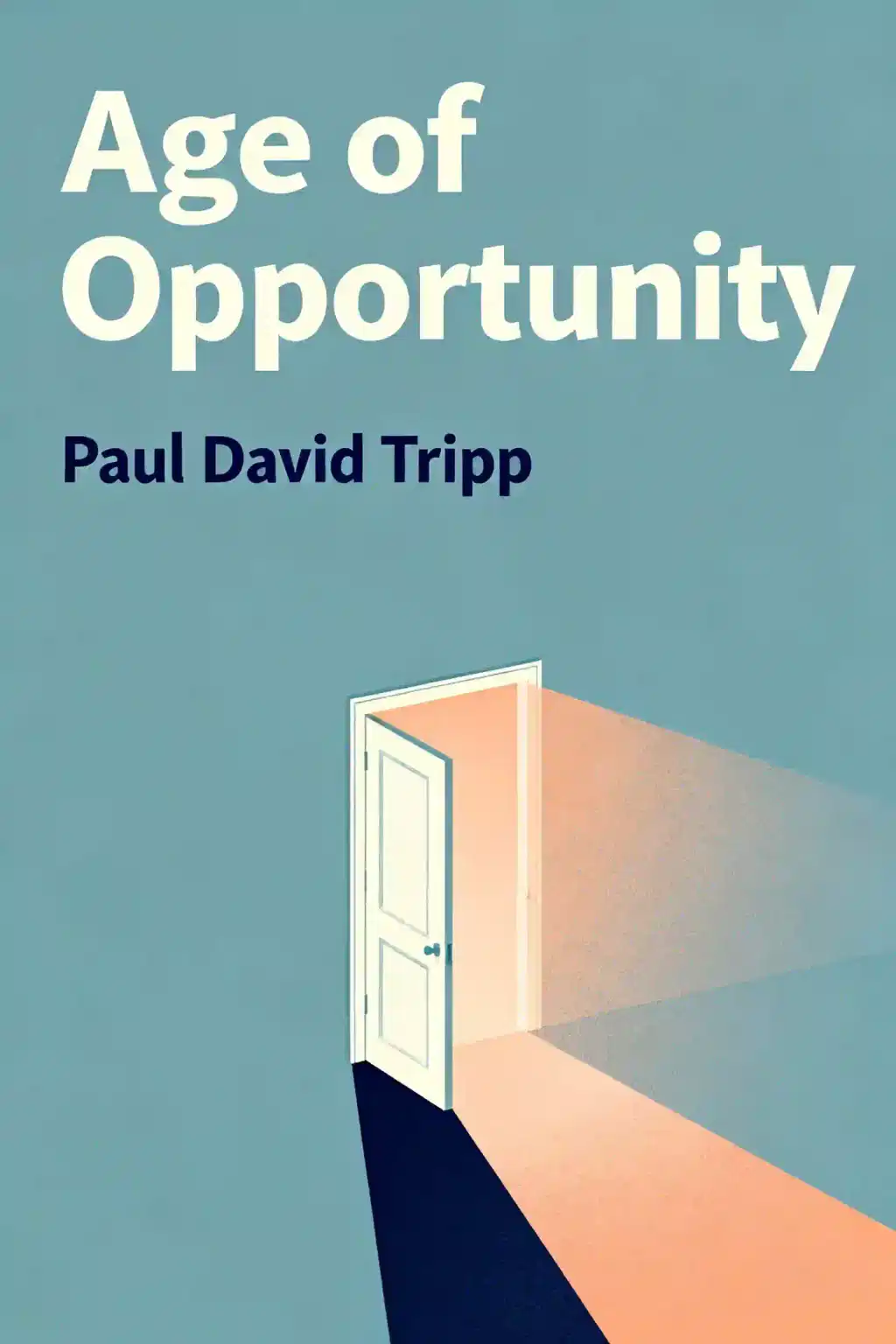 Age of Opportunity book cover