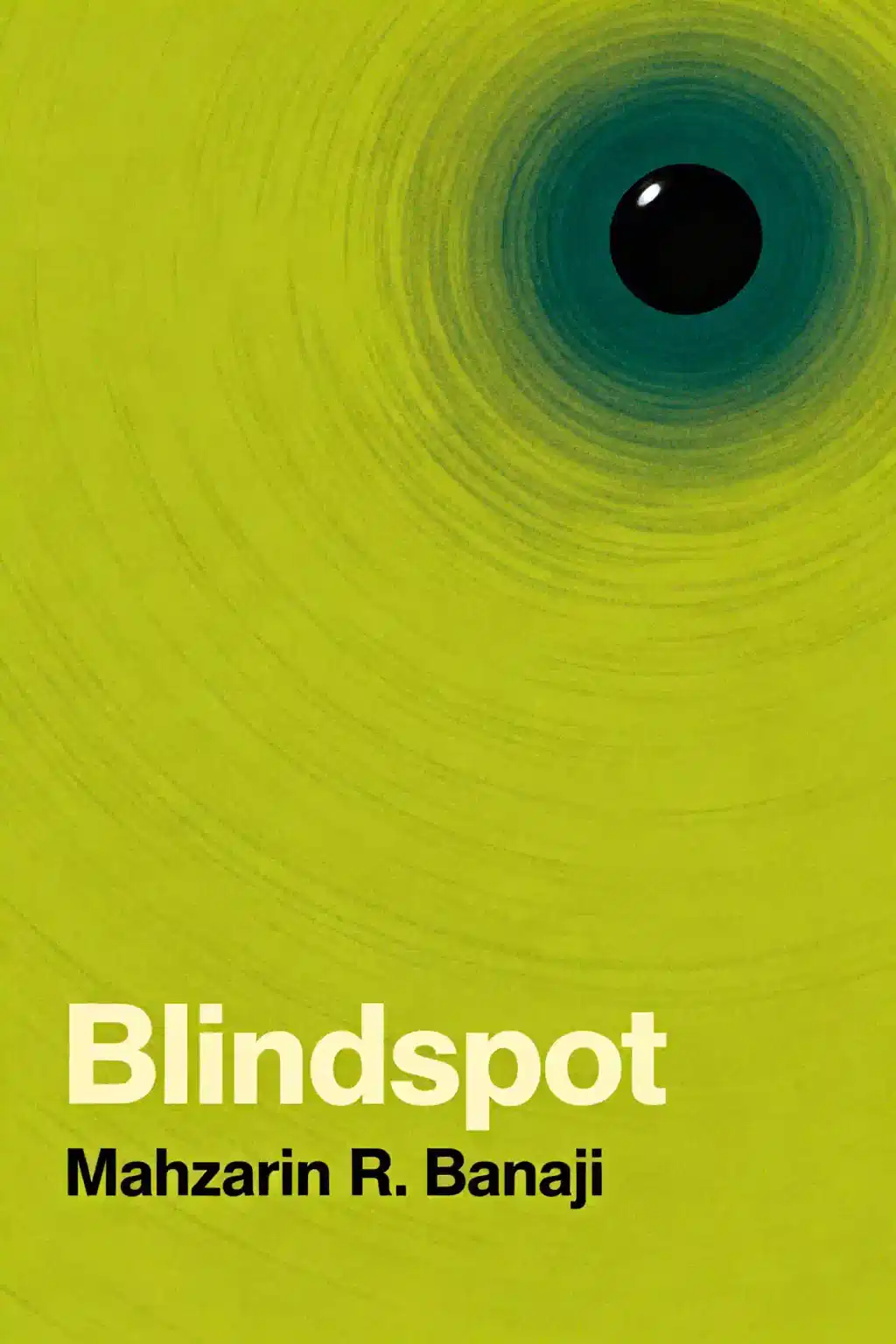 Blindspot book cover