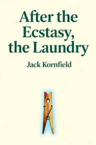 After the Ecstasy, the Laundry cover