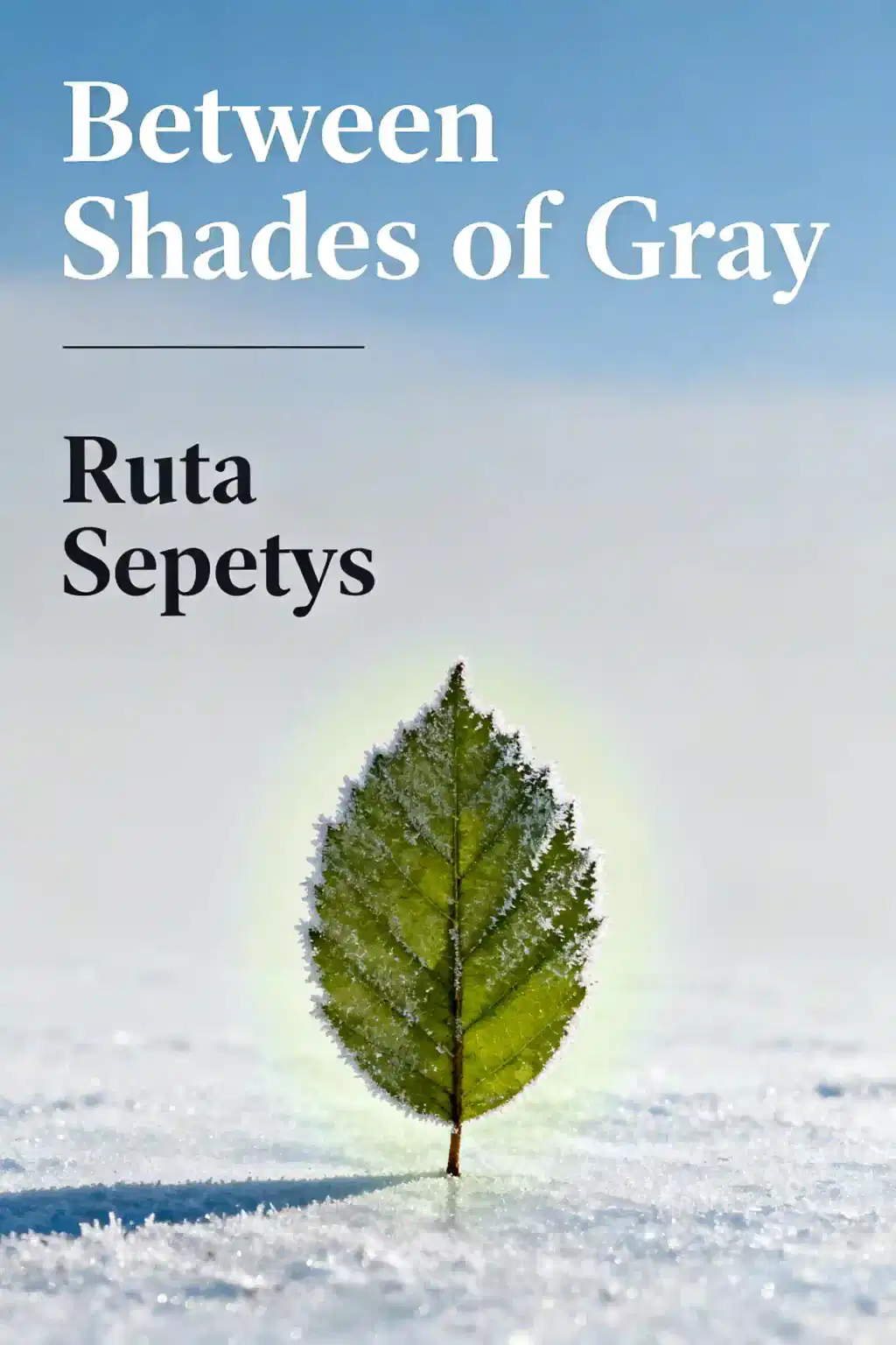 Between Shades of Gray book cover